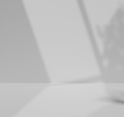 3D Empty room with shadows of window and flowers and palm leave, Display product with gray backdrop