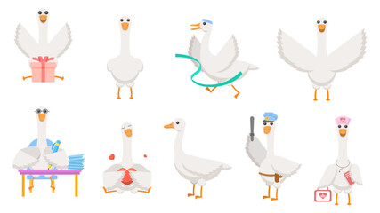 Big Set Abstract Collection Flat Cartoon Different Animal Birds Goose, Geese Vector Design Style Elements Fauna Wildlife