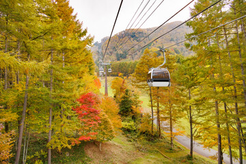 日光白根山から見える紅葉した山の風景