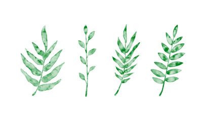Fototapeta premium set of leaves illustration in watercolor style