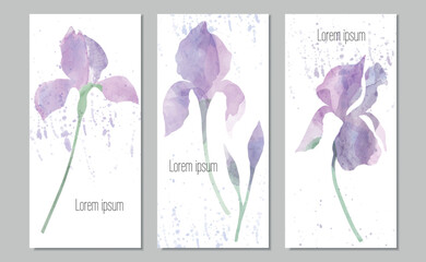 Vector watercolor triptych with purple irises and splashes. European size card