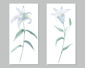 Vector watercolor triptych with blue lilies