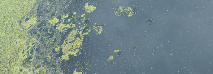 Garbage and blooming green water. Algae bloom due to pollution. Environment and water pollution...