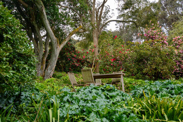 Spring garden Garden of Erth in Blackwood, Victoria Australia