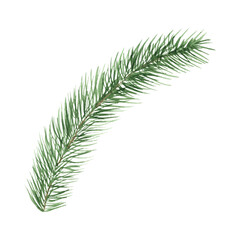 Naklejka premium Watercolor Christmas tree branches. Hand painted texture with fir-needle natural elements. isolated. freehand drawing of festive needles from spruce, decoration for christmas and new year