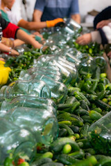 Manual labor. Asian women work in a workshop where cucumbers are preserved by hand.