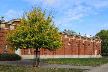 Obraz premium A tree next to a stable block 