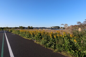 Teganuma Nature Community Greenway in Kashiwa, Chiba, Japan. October 26, 2022