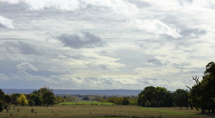 Fototapeta premium Landscape with trees and clouds