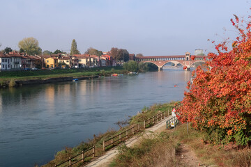 Pavia