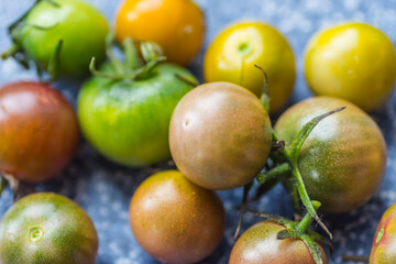 many little unripe tomatoes with different colors in the detail