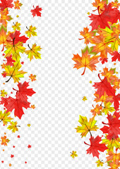 Naklejka na ściany i meble Golden Floral Background Transparent Vector. Leaf November Template. Brown Tree Foliage. September Plant Design.