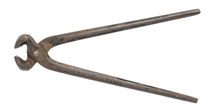 Beisszange Bilder Durchsuchen 124,417 Archivfotos, und