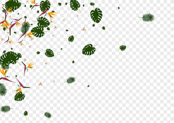 Yellow Leaf Background Transparent Vector. Strelitzia Retro Pattern. Pink Flora. Modern Design. Orange Bright Texture.