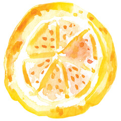 Fresh fruits sliced,lemons drawing with watercolor.Citrus fruits contain vitamin C.Yellow sour lime.