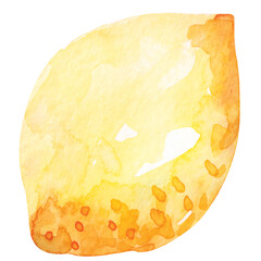 Fresh lemons drawing with watercolor.Citrus fruit contain vitamin C.Yellow sour lime.