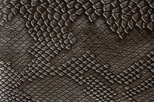 Beautiful dark gray python skin, reptile skin texture, snake skin close-up as a background.