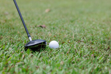 Golf club and golf ball on green grass,