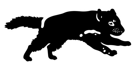 tasmanian devil vector illustration