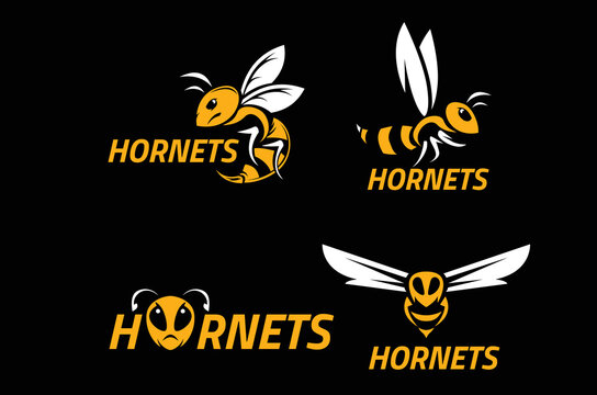 Hornets Logo Design Variation 