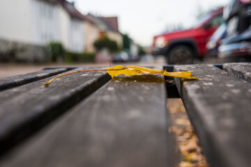 autumnal painted maple leaf on a park bench in a low angle