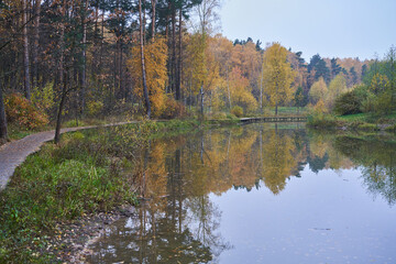 Pond surrounded by yellow trees in afternoon.