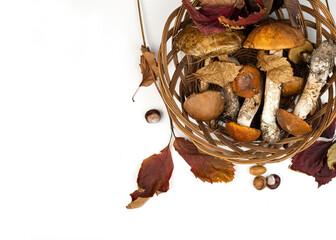 Still life with forest mushrooms and fallen leaves. Porcini mushrooms and boletus mushrooms in a wicker basket. Autumn minimalist composition.