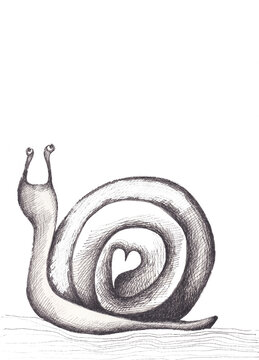 Graphics illustration of a snail on white background.