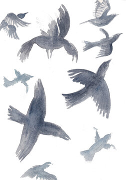 Illustration of a set of birds. Illustration of few flying birds. sweet and soft graphic resource. © Stefania