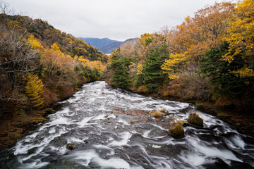 竜頭の滝 上流　秋の紅葉　栃木県　日光市　スローシャッター
