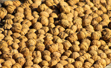 Walnut texture pattern. Many walnut exposed to the sun - drying. Healthy food