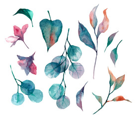 Watercolor isolated set of leaves and flowers, autumn colorful illustration 