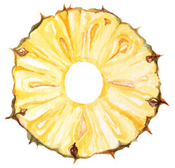Pineapple painted with watercolor.Hand drawn fruit watercolor painting.