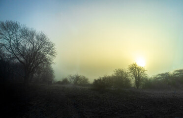 Fototapeta na wymiar Misty Countryside Landscape