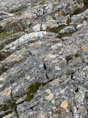 Stone rock boulder texture seaside landscape northern nature