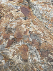 Stone rock boulder texture seaside landscape northern nature