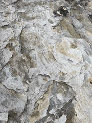 Stone rock boulder texture seaside landscape northern nature