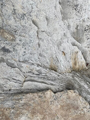 Stone rock boulder texture seaside landscape northern nature
