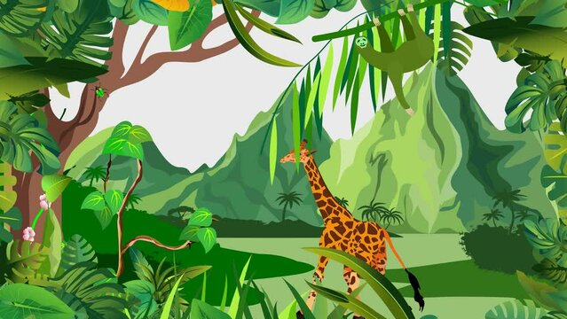 Jungle Cartoon cute giraffe 2d animation green screen background