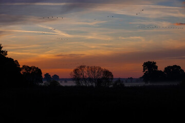 Sonnenaufgang in Linum im Herbst während des Vogelzuges