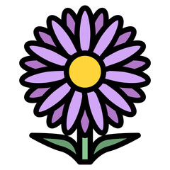 aster flower