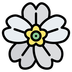 Obraz premium primrose flower