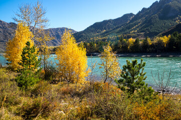 View of river Katun and Altay mountains