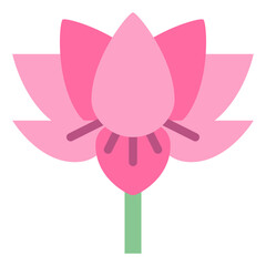 lotus flower