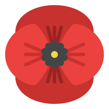 poppy flower