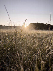 Obraz premium Natur Zauber