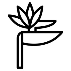 bird of paradise flower