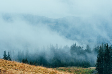 landscape forest and mountains in the mist silhouettes of peaks travel rest recovery in nature outdoors vacation in the Carpathians place for text yellow grass atmosphere wallpaper screensaver fog