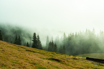 landscape forest and mountains in the mist silhouettes of peaks travel rest recovery in nature outdoors vacation in the Carpathians place for text yellow grass atmosphere wallpaper screensaver fog