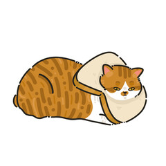 Bread in the form of a meow cat